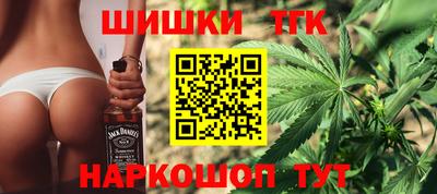 индика Северобайкальск