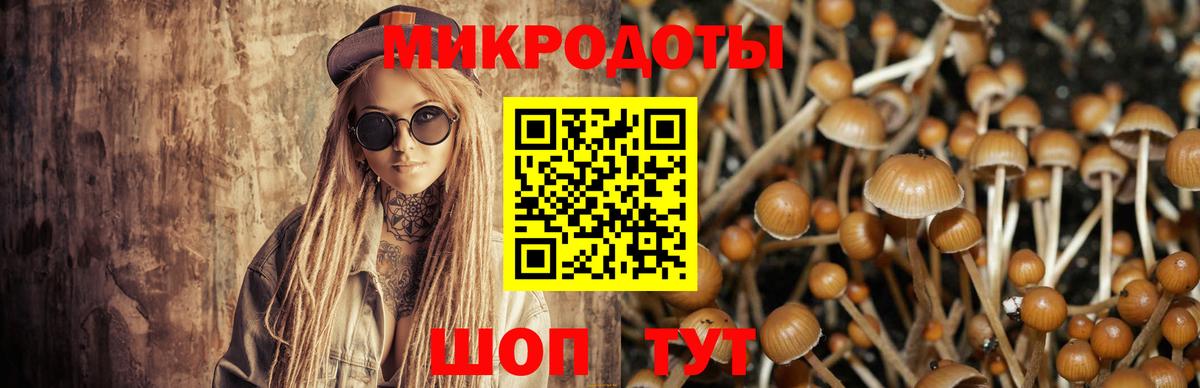 Галлюциногенные грибы GOLDEN TEACHER  Галлюциногенные грибы GOLDEN TEACHER  Вход с VPN  Муравленко 
